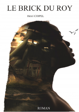 Le Brick du Roy