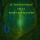 Le trésor perdu de la forêt enchantée