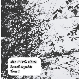 Mes P'tits Maux - Tome 1