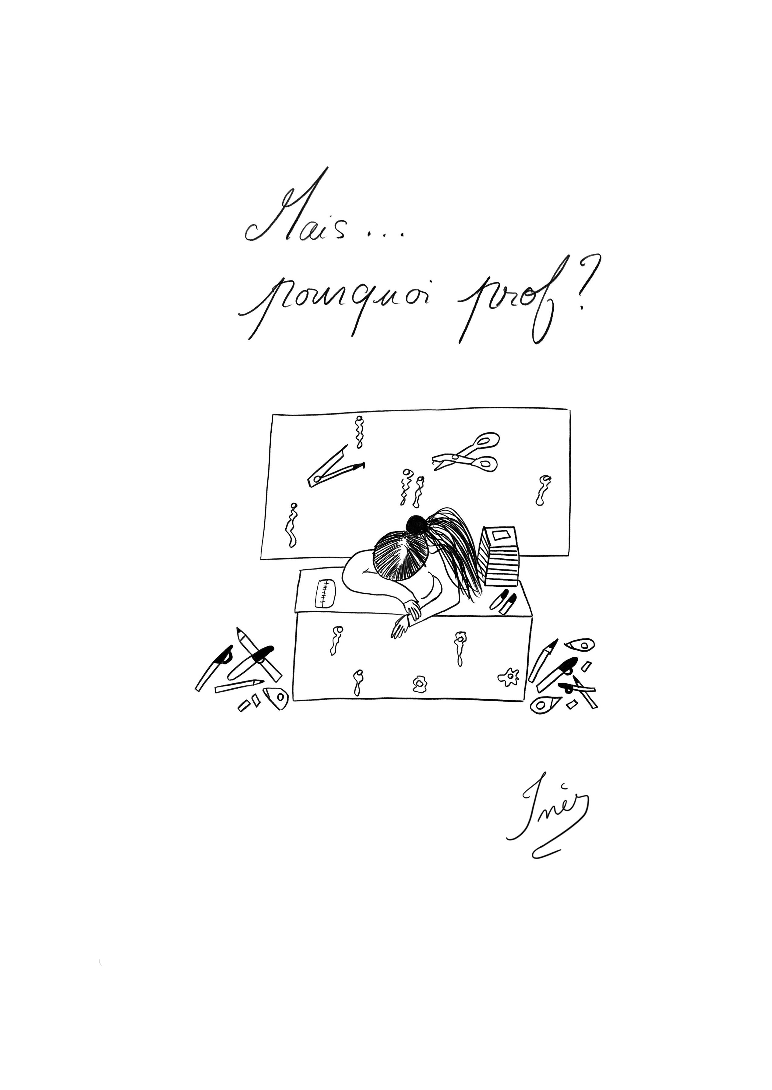 Pourquoi prof?
