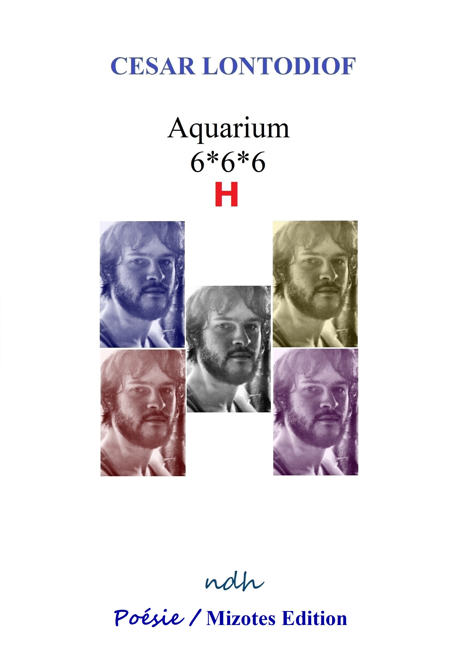 Aquarium 6*6*6 H