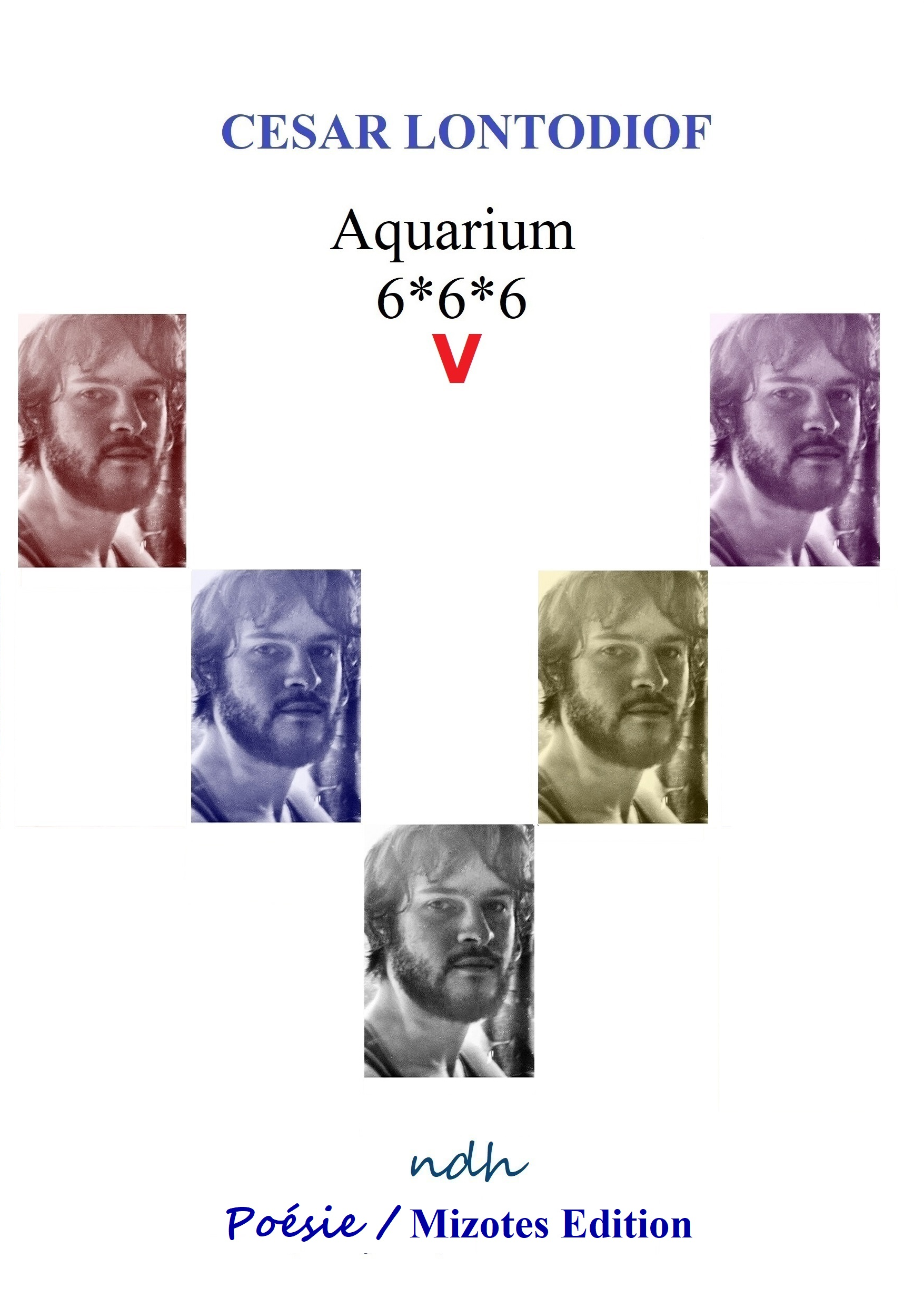 Aquarium 6*6*6 V