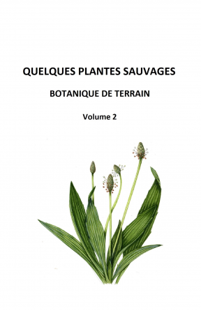 QUELQUES PLANTES SAUVAGES Volume 2