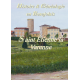 St-Etienne-la-Varenne (Rhône) n° 13