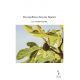 Des papillons dans les figuiers