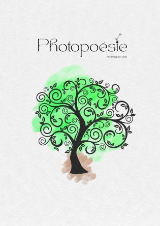 Photopoésie