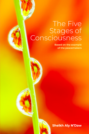 The Five Stages of Consciousness