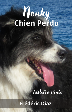 Nouky Chien Perdu