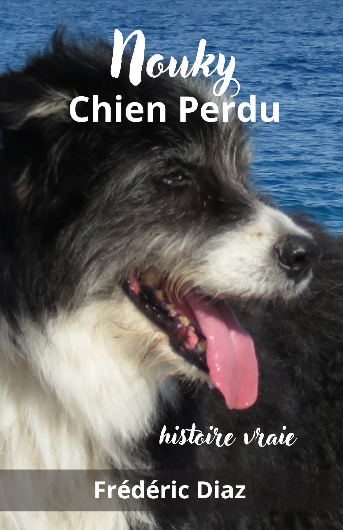 Nouky Chien Perdu
