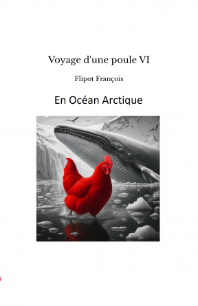 Voyage d'une poule VI