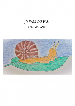 J'Y VAIS OU PAS ?