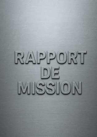 Rapport de mission (Alex l'extra...)