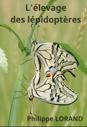 L'élevage des lépidoptères