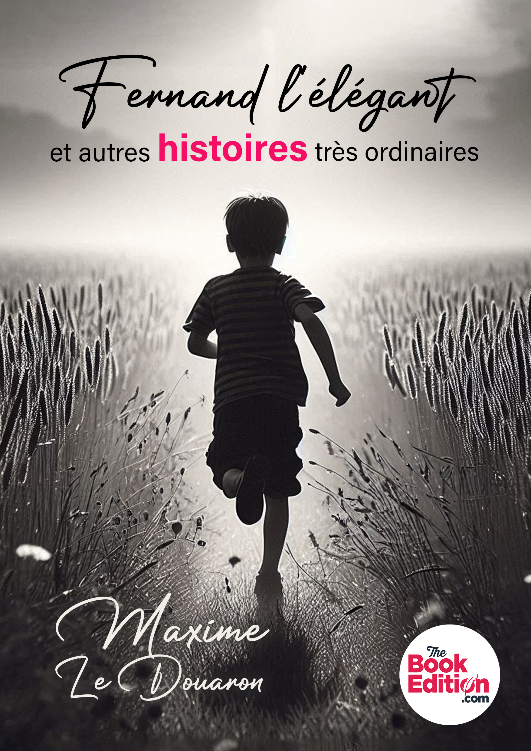 Fernand l'élégant et autres histoires 