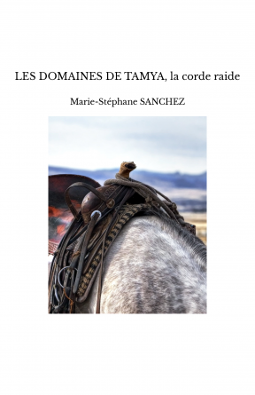 LES DOMAINES DE TAMYA, la corde raide