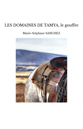 LES DOMAINES DE TAMYA, le gouffre