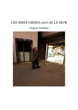 LES ÂMES GRISES suivi de LE MUR