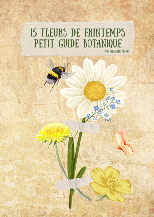 15 Fleurs de Printemps