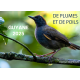 LA GUYANE DE PLUMES ET DE POILS