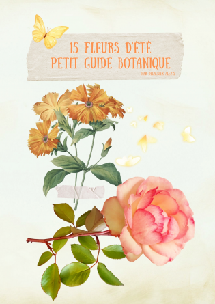 15 Fleurs d'été 
