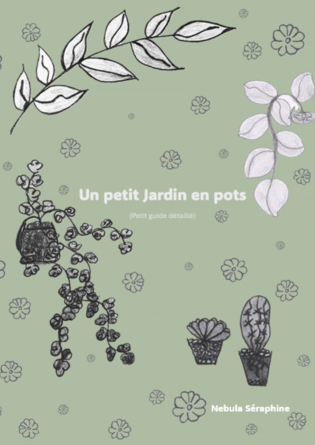 Un petit jardin en pots