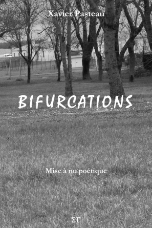 Bifurcations