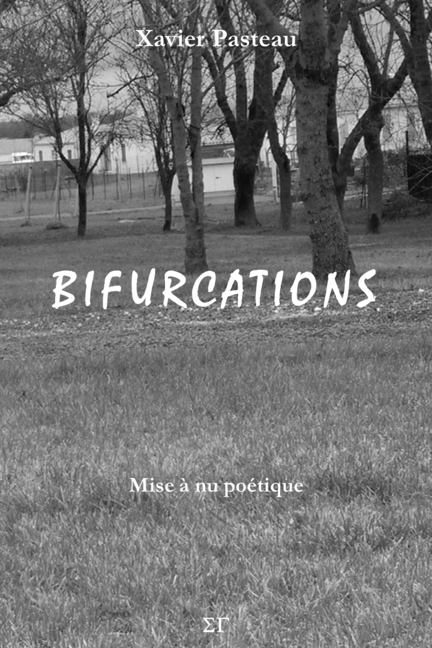 Bifurcations