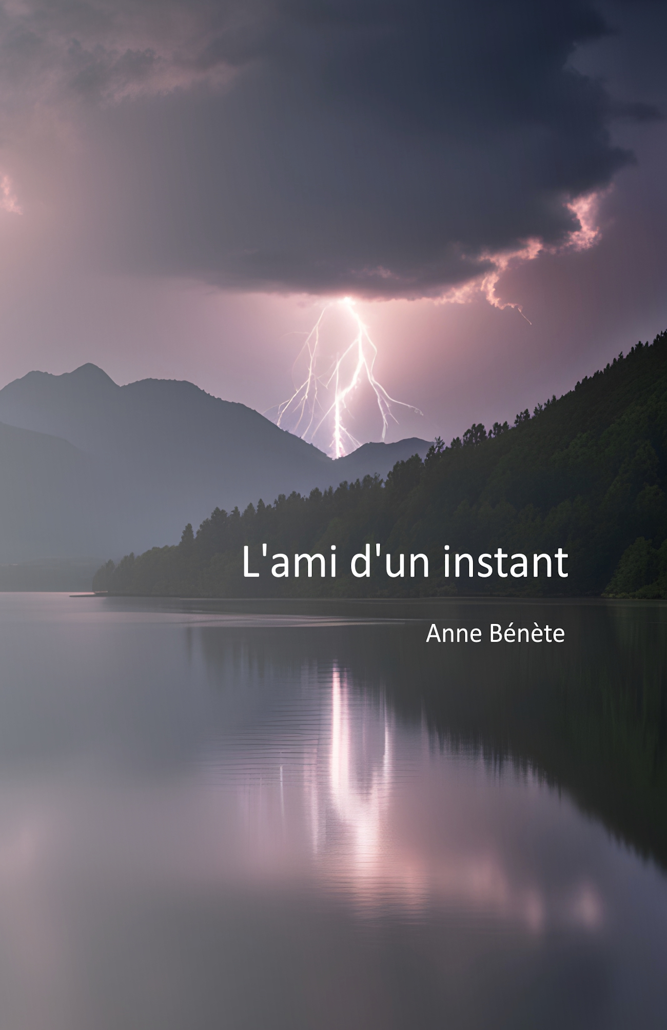 L'ami d'un instant