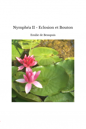Nymphéa II - Eclosion et Bouton