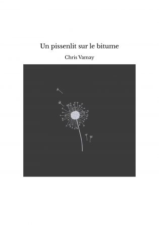 Un pissenlit sur le bitume