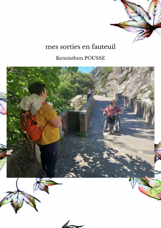 mes sorties en fauteuil