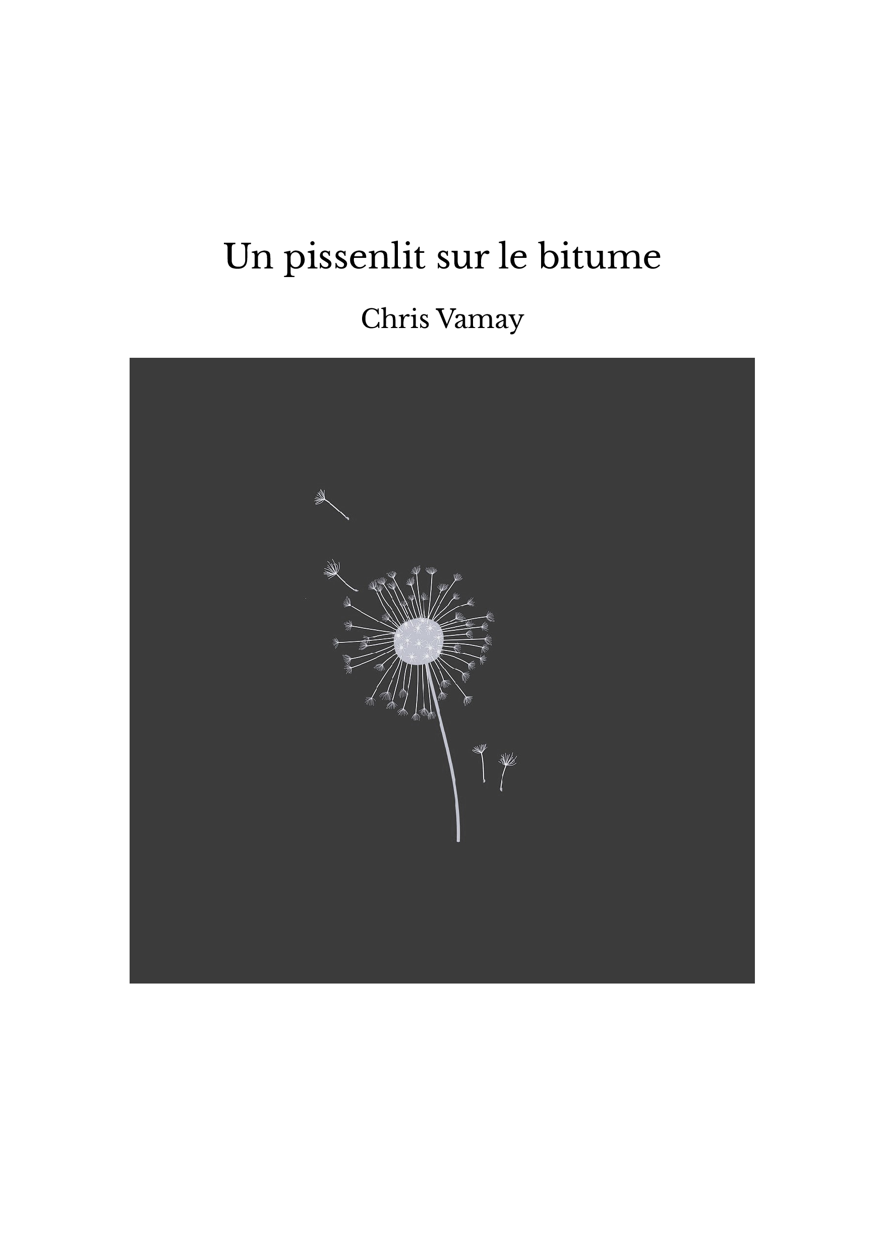 Un pissenlit sur le bitume