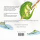Basile, le petit crocodile