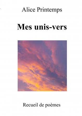 Mes unis-vers