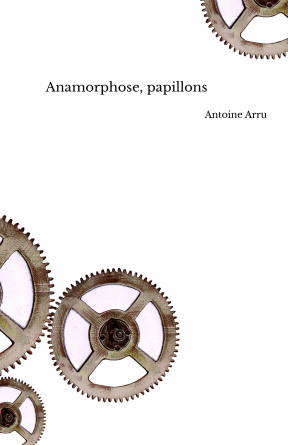 Anamorphose, papillons 