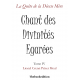 Chant des Divinités Egarées
