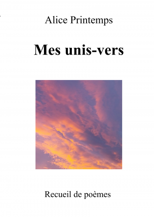 Mes unis-vers