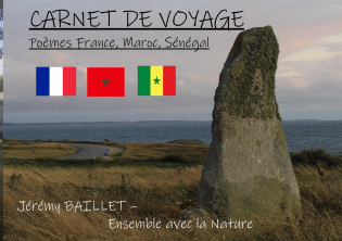 Carnet de voyage, Poèmes 