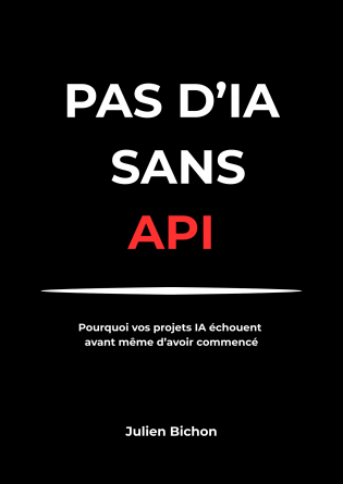 PAS D'IA SANS API