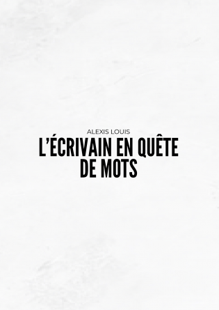 L'écrivain en quête de mots