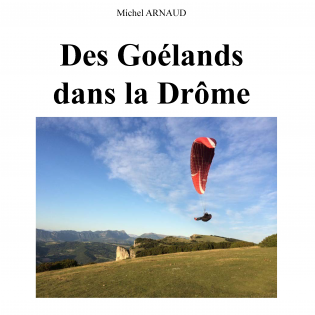 Des Goélands dans la Drôme