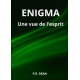 ENIGMA Une vue de l'esprit