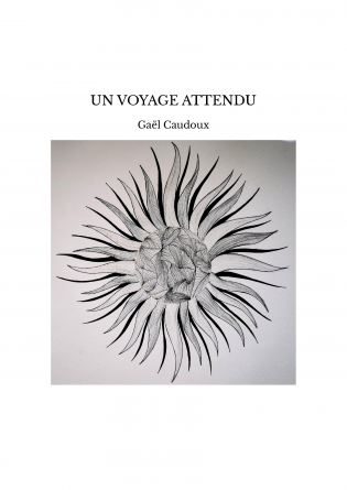 UN VOYAGE ATTENDU
