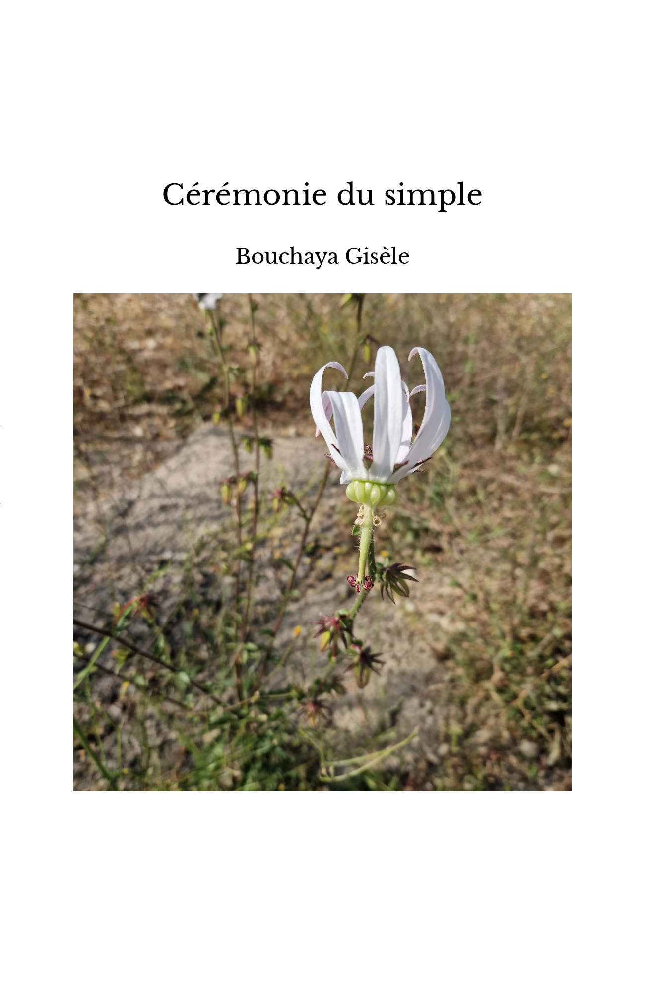 Cérémonie du simple