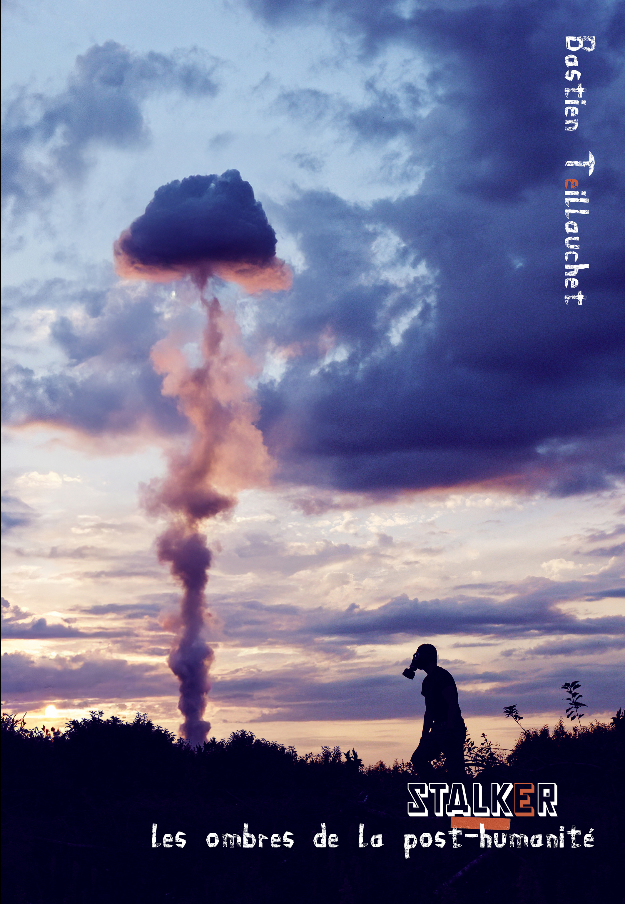 Stalker,les ombres de la post-humanité