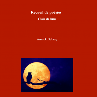 Recueil de poésies-Clair de lune