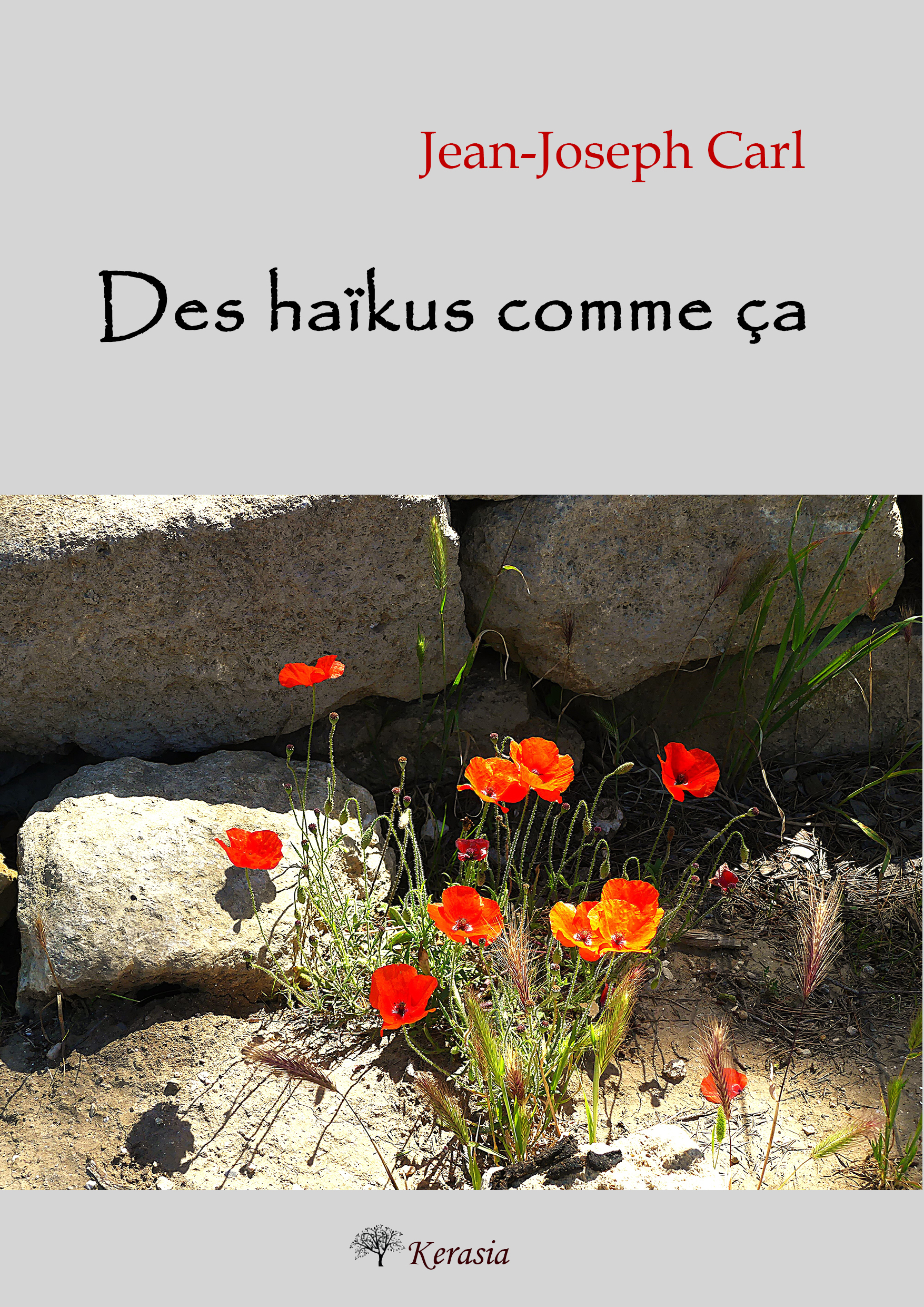 Des haïkus comme ça