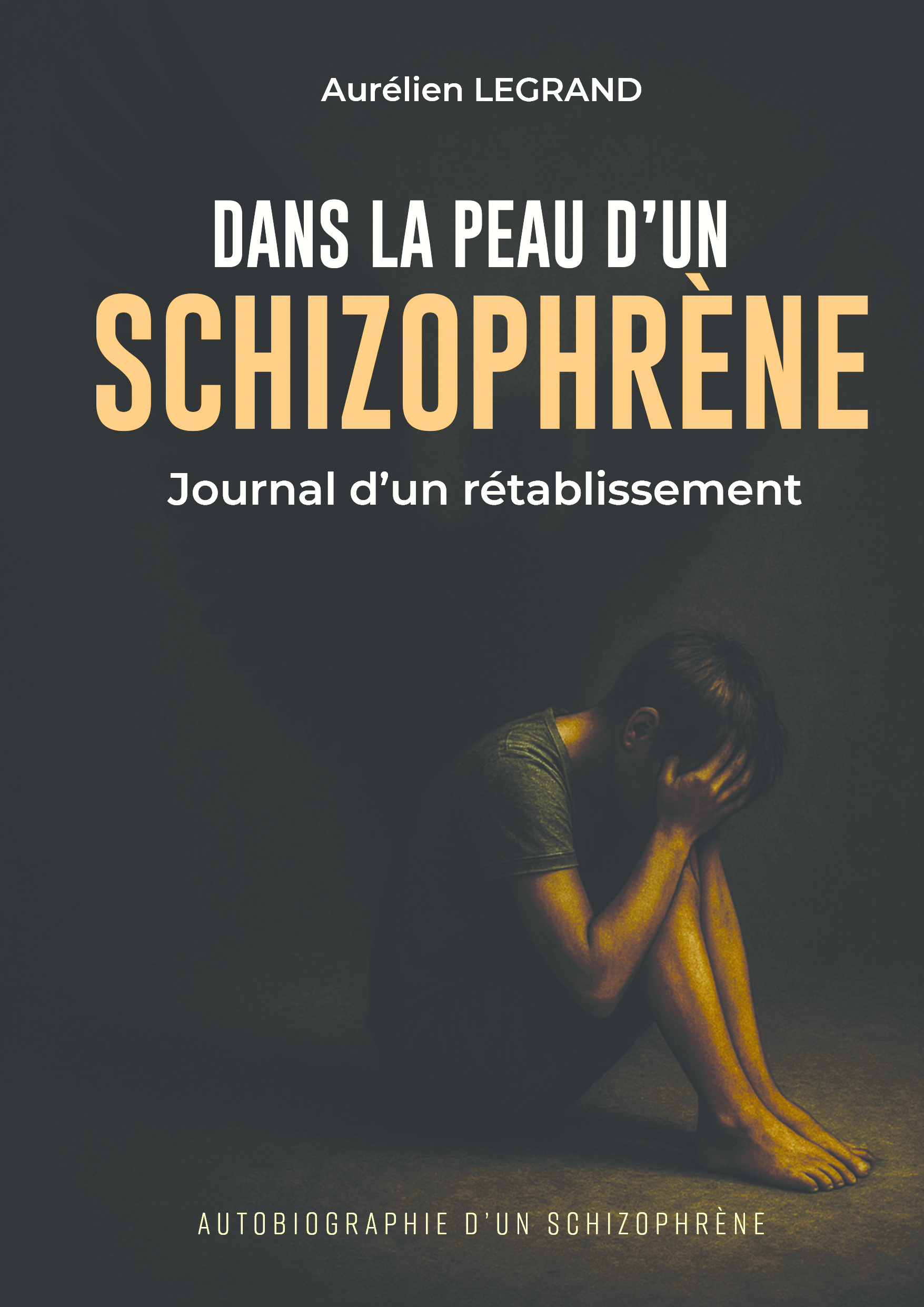 Dans la peau d'un schizophrène