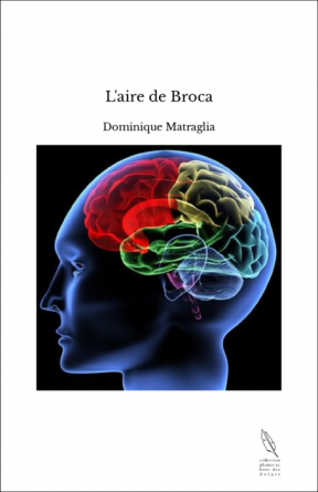 L'aire de Broca