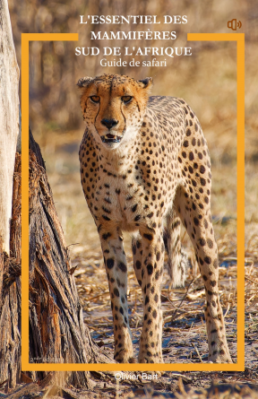 L'essentiel des mammifères Sud Afrique